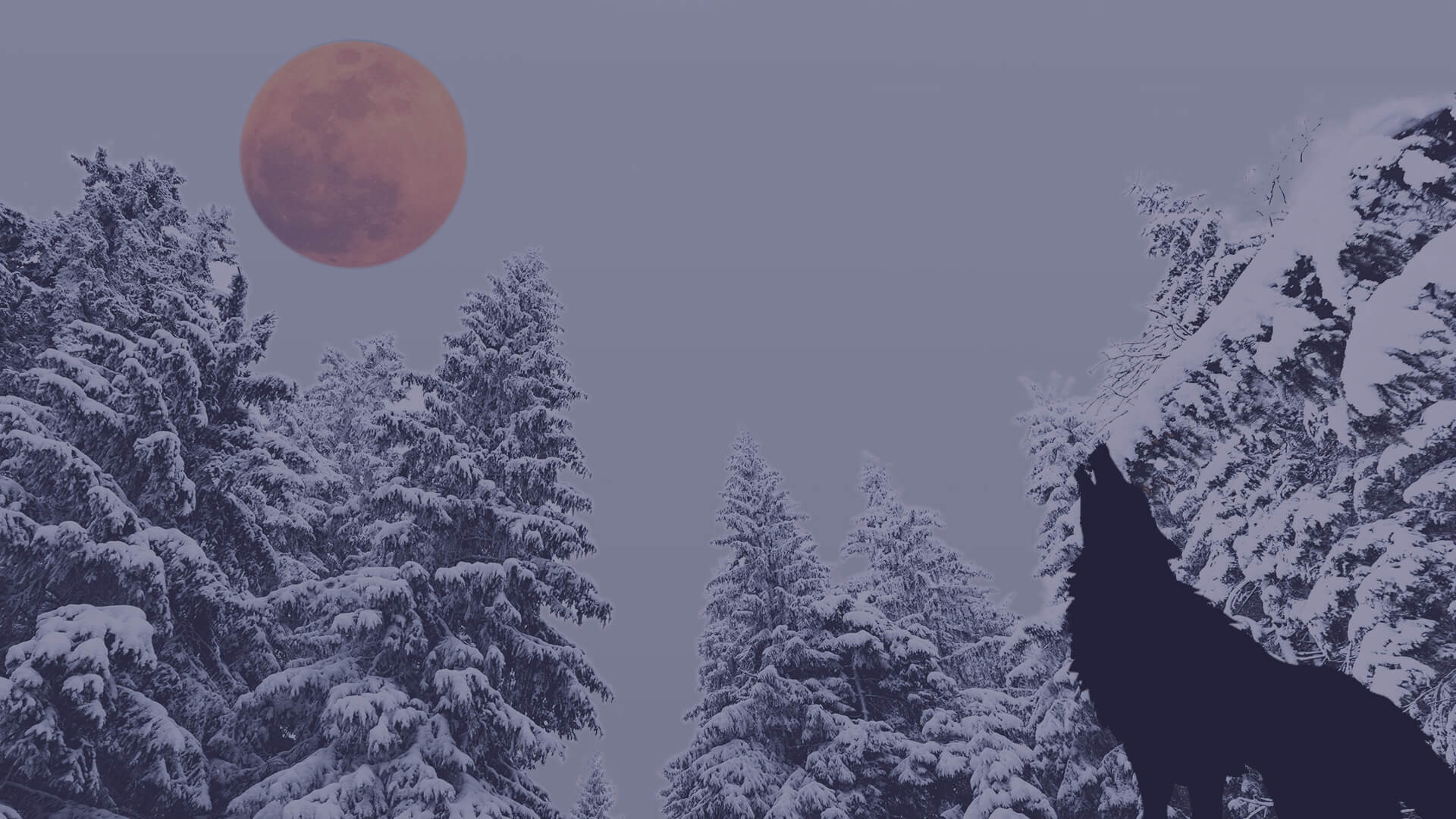 人狼用Zoom背景　冬バージョン